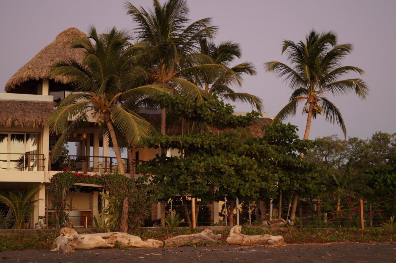 Alive Beach House Transito Zewnętrze zdjęcie